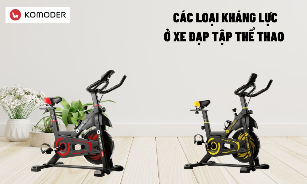 Các loại kháng lực ở xe đạp tập thể thao 